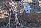 photo thumbnail #8
