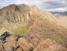 photo thumbnail #13