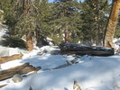 photo thumbnail #7