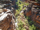2009-11-07 :2: Hermit Trail - Grand Canyon :: Al_HikesAZ