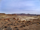 photo thumbnail #8