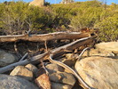 photo thumbnail #3