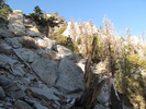 photo thumbnail #5