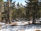 photo thumbnail #7