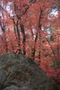 photo thumbnail #12