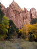 photo thumbnail #12
