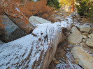 photo thumbnail #11
