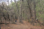 photo thumbnail #12