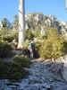 photo thumbnail #6