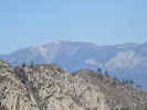 recent photo