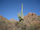 photo thumbnail #1
