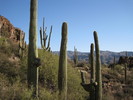 photo thumbnail #5
