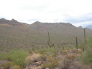 photo thumbnail #13