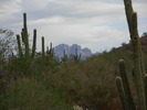 photo thumbnail #14
