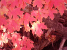 photo thumbnail #7