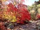 photo thumbnail #8