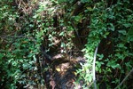 photo thumbnail #14