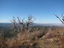 photo thumbnail #2