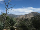 photo thumbnail #7