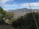 photo thumbnail #8
