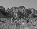 photo thumbnail #1