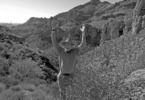 photo thumbnail #13