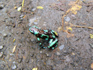 photo thumbnail #1