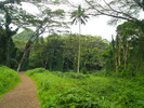 photo thumbnail #11