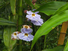 photo thumbnail #12