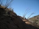 photo thumbnail #6