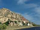 photo thumbnail #1