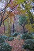 photo thumbnail #14