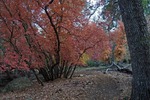photo thumbnail #15