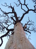 photo thumbnail #12