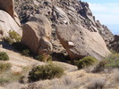 photo thumbnail #11