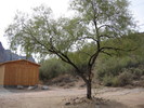 photo thumbnail #1