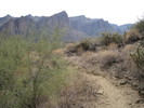 photo thumbnail #8