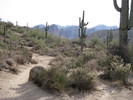 photo thumbnail #14