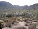 photo thumbnail #15
