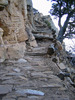 photo thumbnail #6