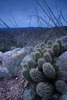 photo thumbnail #5