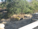 photo thumbnail #2
