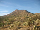 photo thumbnail #8