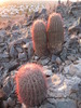 photo thumbnail #7