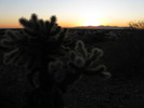 photo thumbnail #11