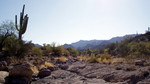 photo thumbnail #15