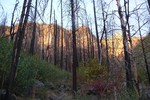 photo thumbnail #3