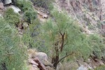 Featured Full Photo