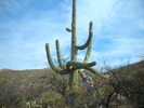photo thumbnail #3