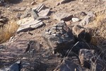 photo thumbnail #5